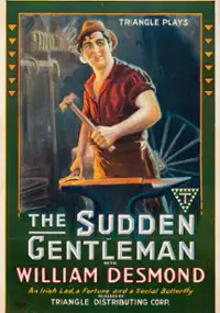 Plakat filmu The Sudden Gentleman
