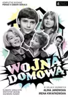 plakat filmu Wojna domowa