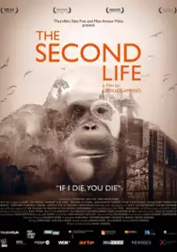 Plakat filmu Drugie życie