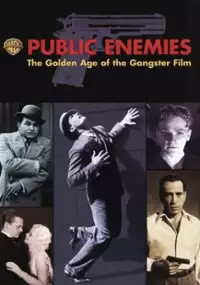 Plakat filmu Public Enemies: The Golden Age of the Gangster Film