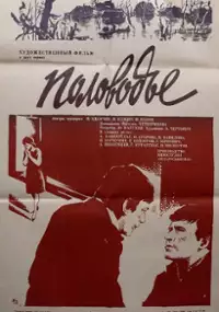 Plakat filmu Polovodye