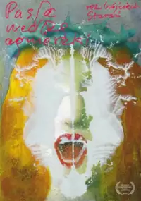 Plakat filmu Pasja według Agnieszki
