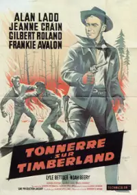 Plakat filmu Guns of the Timberland