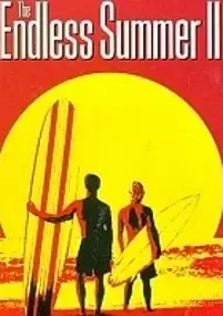 Plakat filmu W pogoni za latem 2