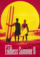 plakat filmu W pogoni za latem 2