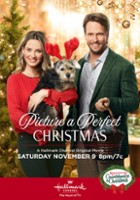 plakat filmu Picture a Perfect Christmas