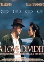 plakat filmu Podzielona miłość