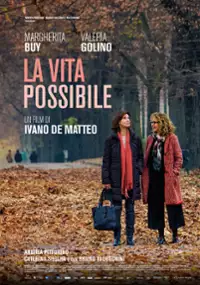 Plakat filmu La vita possibile