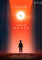 plakat filmu Prawdziwa północ