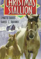 plakat filmu Świąteczna wygrana