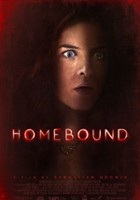 plakat filmu Homebound