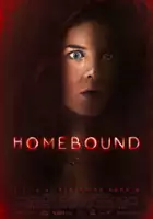 plakat filmu Homebound