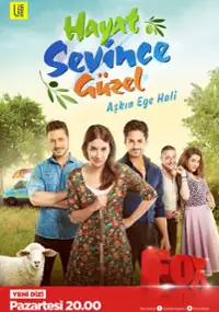 Plakat serialu Hayat Sevince Güzel