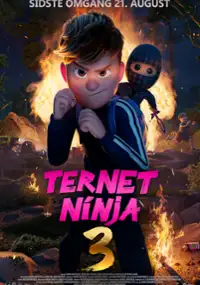 Plakat filmu Ternet Ninja 3