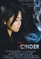 plakat filmu Cinder