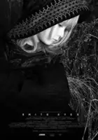 plakat filmu Brite Eyes