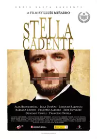 Plakat filmu Spadająca gwiazda