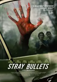 Plakat filmu Stray Bullets