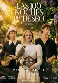 Plakat filmu 100 Nights of Hero