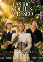 plakat filmu 100 Nights of Hero