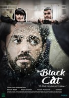 plakat filmu Czarny kot