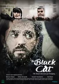 Plakat filmu Czarny kot