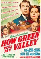 plakat filmu Zielona dolina