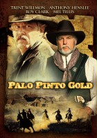 plakat filmu Palo Pinto Gold 