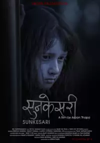Plakat filmu Sunkesari