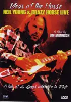 plakat filmu Rok konia