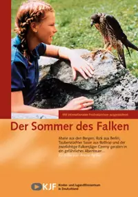 Plakat filmu Der Sommer des Falken