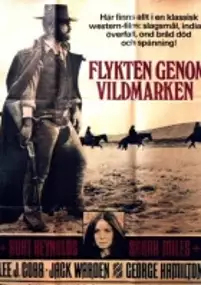 Plakat filmu Człowiek który kochał Tańczącą Kotkę