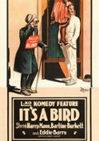 plakat filmu It's a Bird