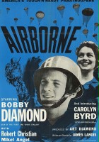 plakat filmu Airborne