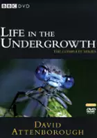 plakat serialu Zadziwiające życie bezkręgowc&oacute;w