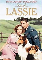 plakat filmu Syn Lassie
