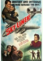 plakat filmu Sky Liner