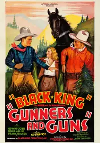 Plakat filmu Racketeer Round-up