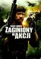 Chuck Norris / Zaginiony w akcji