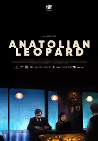 Plakat filmu Lampart z Ankary