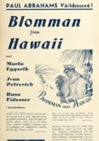 plakat filmu Die Blume von Hawaii