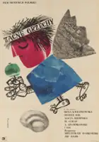 plakat filmu Zacne grzechy