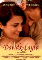 plakat filmu David & Layla