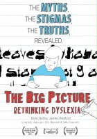 plakat filmu The Big Picture: Rethinking Dyslexia