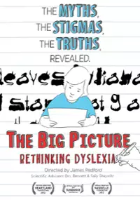 Plakat filmu The Big Picture: Rethinking Dyslexia