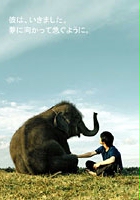 plakat filmu Hoshi Ni Natta Shōnen