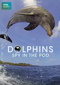 Plakat serialu Szpieg wśr&oacute;d delfin&oacute;w