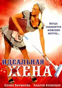 Plakat filmu Idealnaya zhena