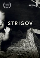plakat filmu Strigov