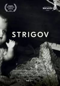 Plakat filmu Strigov